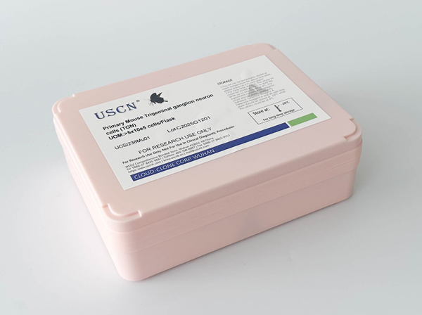 貓骨髓單核細胞(BMMC)原代細胞