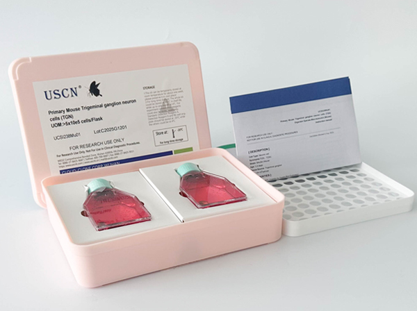 貓骨髓單核細胞(BMMC)原代細胞