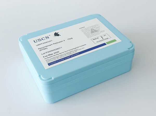 基質(zhì)金屬蛋白酶25(MMP25)重組蛋白