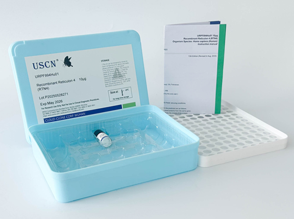 基質(zhì)金屬蛋白酶25(MMP25)重組蛋白