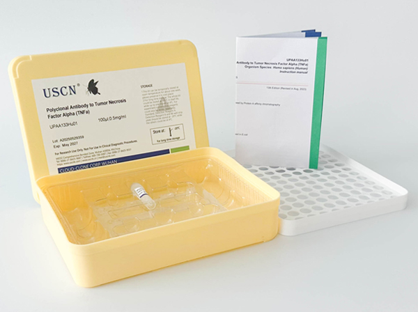 尾型同源框轉(zhuǎn)錄因子2(CDX2)多克隆抗體